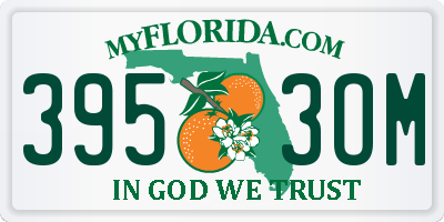 FL license plate 3953OM