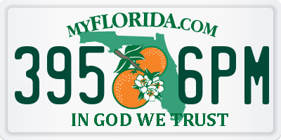 FL license plate 3956PM
