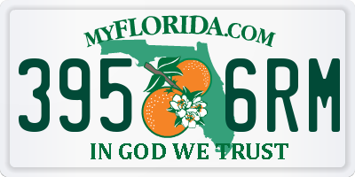 FL license plate 3956RM