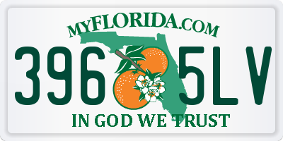 FL license plate 3965LV