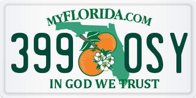 FL license plate 3990SY