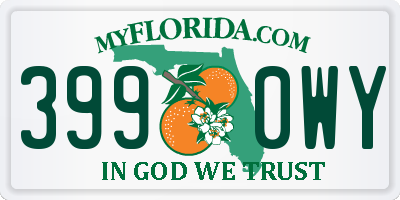 FL license plate 3990WY