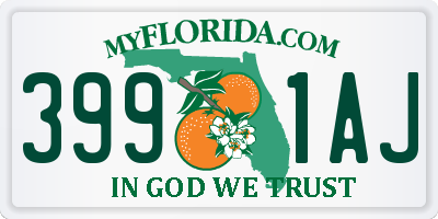 FL license plate 3991AJ