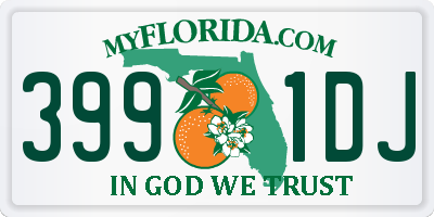 FL license plate 3991DJ