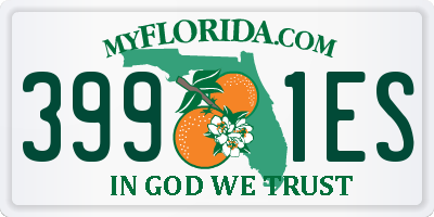 FL license plate 3991ES