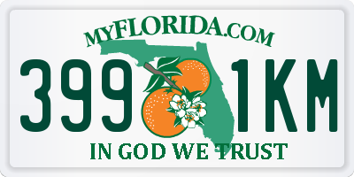 FL license plate 3991KM