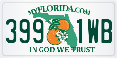 FL license plate 3991WB