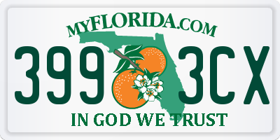 FL license plate 3993CX