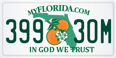 FL license plate 3993OM