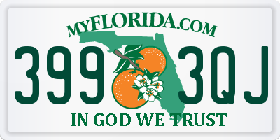 FL license plate 3993QJ