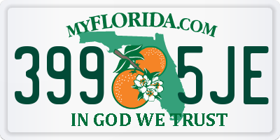 FL license plate 3995JE
