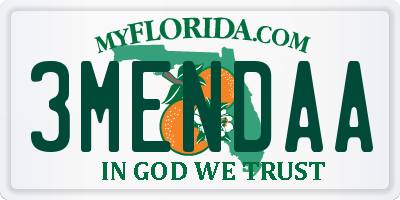 FL license plate 3MENDAA