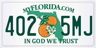FL license plate 4025MJ