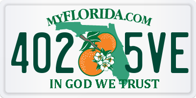 FL license plate 4025VE