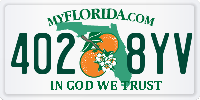 FL license plate 4028YV