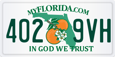 FL license plate 4029VH