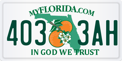 FL license plate 4033AH
