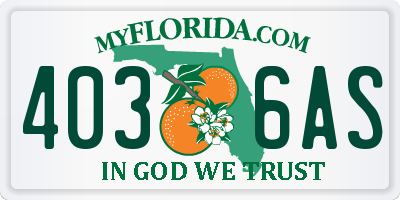 FL license plate 4036AS