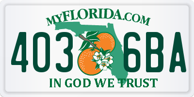 FL license plate 4036BA