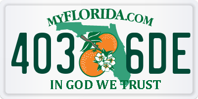 FL license plate 4036DE