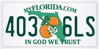 FL license plate 4036LS