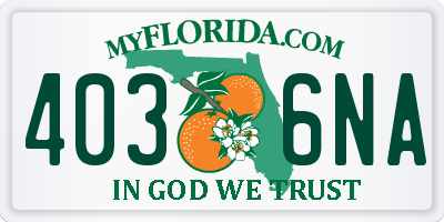 FL license plate 4036NA