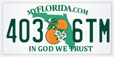 FL license plate 4036TM