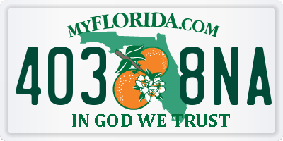 FL license plate 4038NA