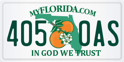 FL license plate 4050AS