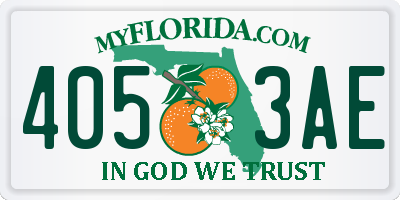 FL license plate 4053AE
