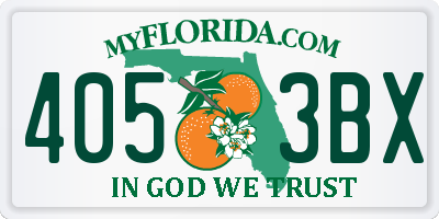 FL license plate 4053BX
