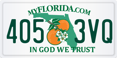 FL license plate 4053VQ