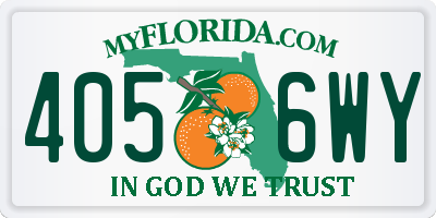 FL license plate 4056WY