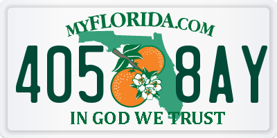 FL license plate 4058AY