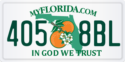 FL license plate 4058BL
