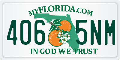 FL license plate 4065NM