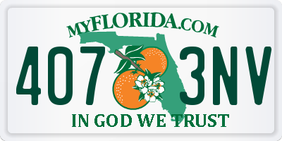 FL license plate 4073NV