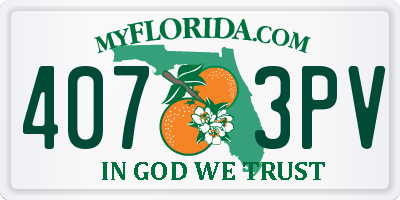 FL license plate 4073PV