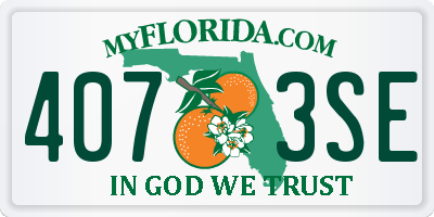 FL license plate 4073SE