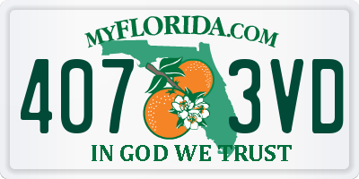 FL license plate 4073VD