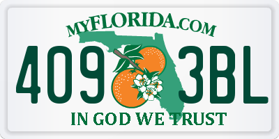 FL license plate 4093BL