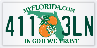 FL license plate 4113LN