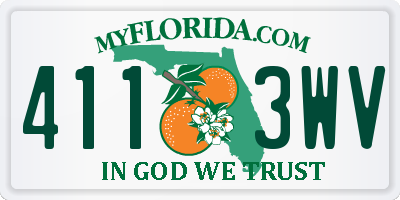 FL license plate 4113WV