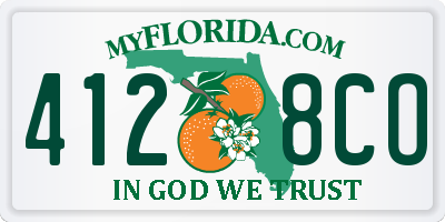 FL license plate 4128CO