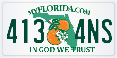 FL license plate 4134NS