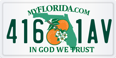 FL license plate 4161AV