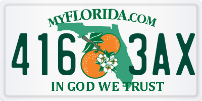 FL license plate 4163AX