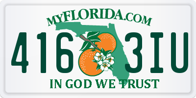 FL license plate 4163IU