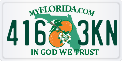 FL license plate 4163KN