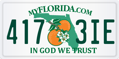 FL license plate 4173IE